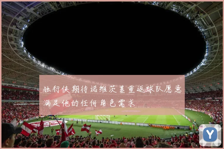 独行侠期待诺维茨基重返球队愿意满足他的任何角色需求