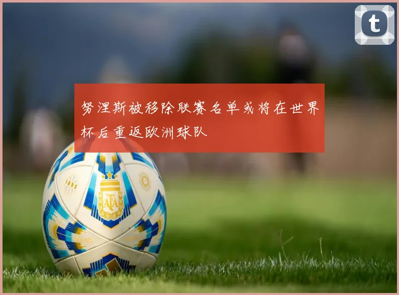 努涅斯被移除联赛名单或将在世界杯后重返欧洲球队