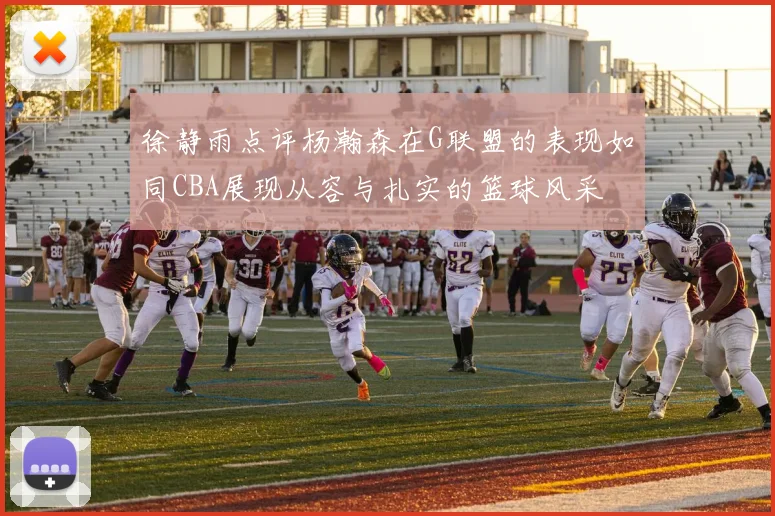 徐静雨点评杨瀚森在G联盟的表现如同CBA展现从容与扎实的篮球风采